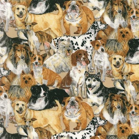 Yellow Labrador, Boxer, Huskies, Collie, Greyhound, Terrier, Dalmatians