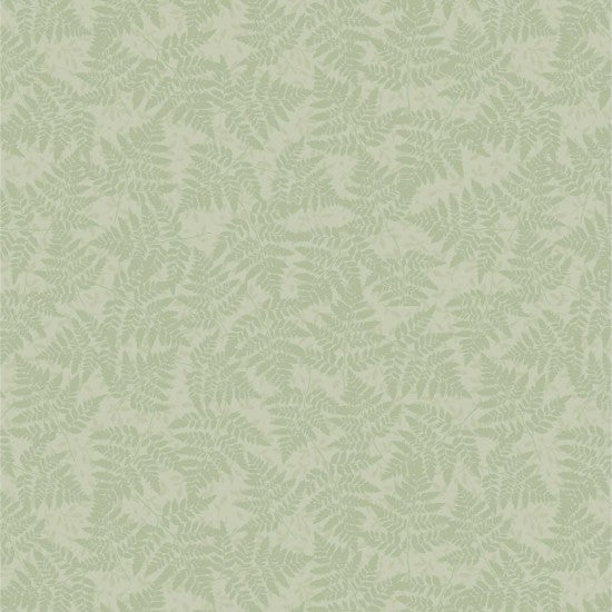 Forest Wonder - New Zealand Ferns in Medium Sage on Light Sage Background