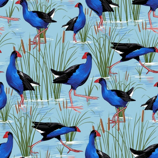 Native Treasures - Pukeko in the Wetlands on blue