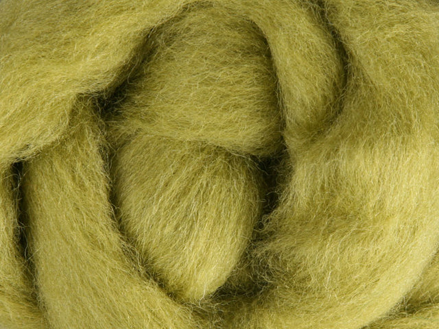 Closeup of New Zealand unspun fibre in colour Bean Sprout