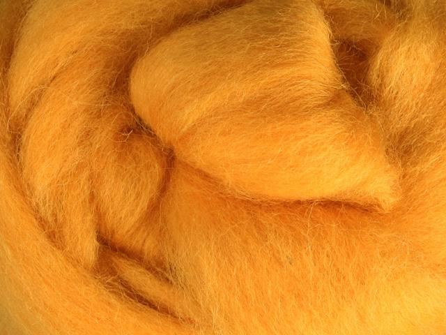 Closeup of New Zealand unspun fibre in colour Butterscotch