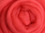 Closeup of New Zealand unspun fibre in colour Coral