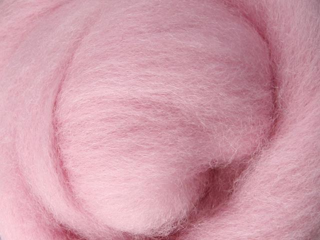 Closeup of New Zealand unspun fibre in colour Cupcake