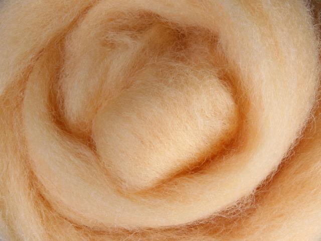 Closeup of New Zealand unspun fibre in colour Honey