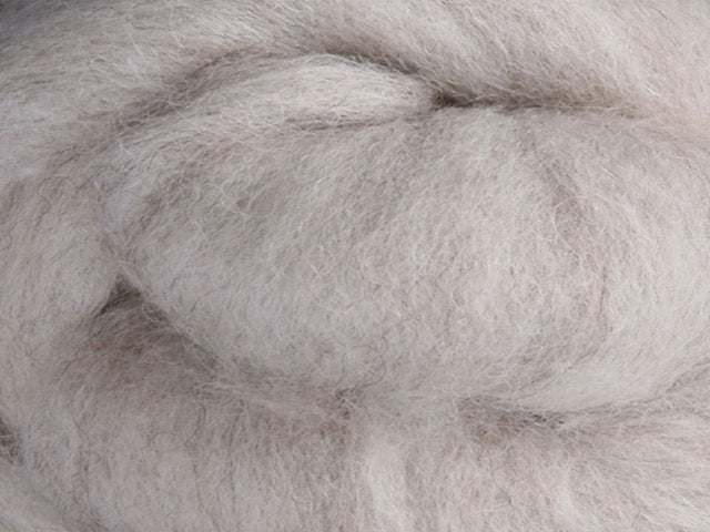 Closeup of New Zealand unspun fibre in colour Natural Light Undyed