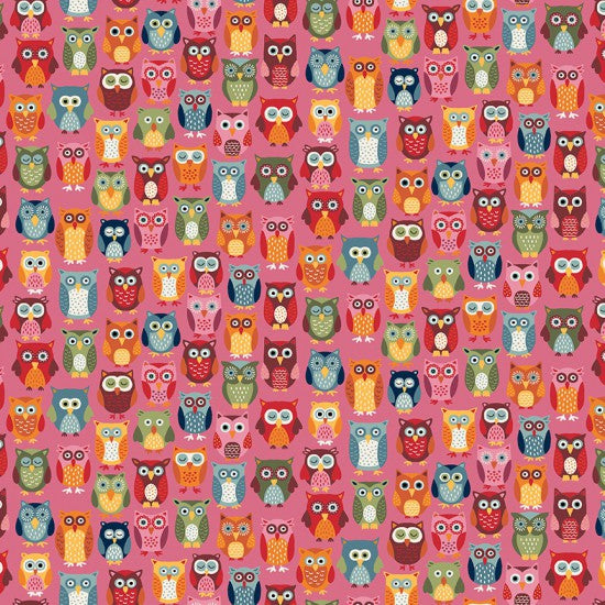 Autumn Days - Rainbow Owls on Bright Pink