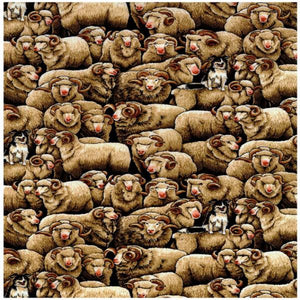 Cream Merino Sheep