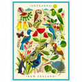 Illustrated map of New Zealand featuring various birds, flowers, and plants with text labels.