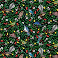 Quilt Fabric with New Zealand birds and flowers on a black background