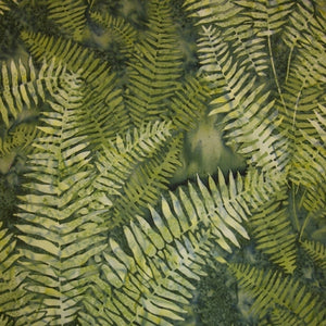 Fern - Green colour