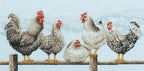 Dimensions Counted Cross Stitch Kit - Black & White Hens