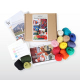 Needle Felting Starter Kit