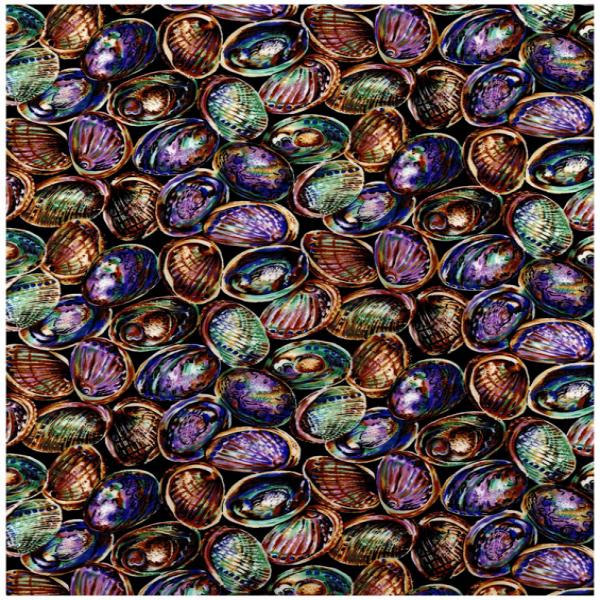 Paua Shells
