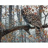 Dimensions Counted Cross Stitch Kit - Wise Owl