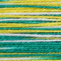 Daruma - Fine Sashiko Thread in Variegated colour 402 - Shaved Ice
