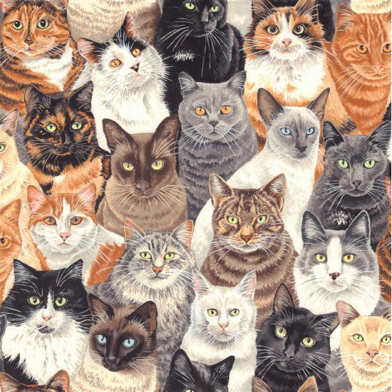 Crowded Cats