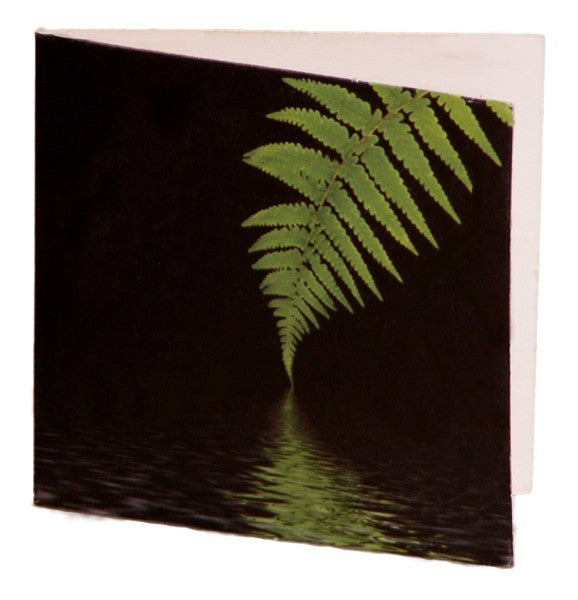 Kiwiana Gift Cards - Fern on Black