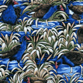 Quilt Fabric with a print of New Zealand pukekos in a swamp surrounded by green native plants on a blue background.