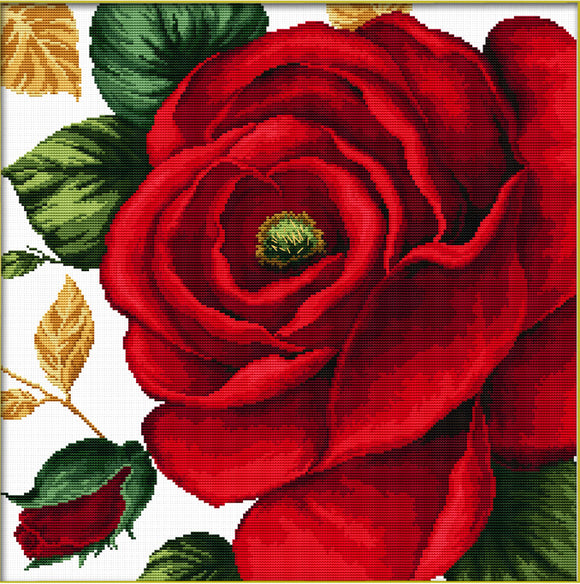 Ladybird Needleart World Pre-Printed Cross-stitch kit - Red Rose