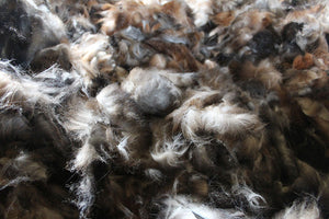Possum fibre for spinning - 50 gram bags